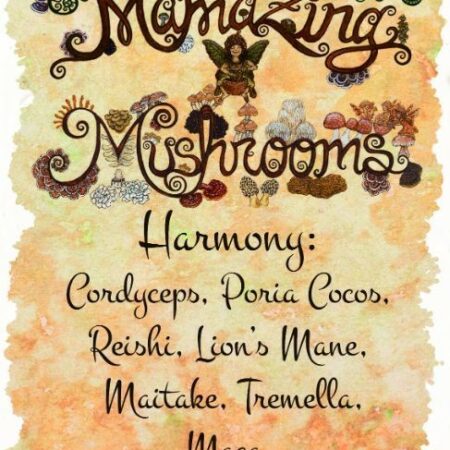 Harmony Potion- MamaZing Mushrooms